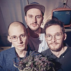 Bild des Hannes-Stegmeier-Trio